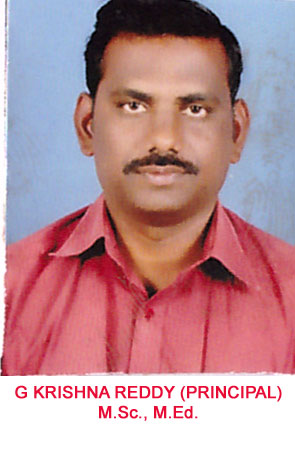 G KRISHNA REDDY